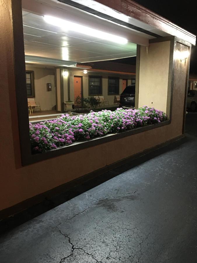 Silver Princess Motel Ocala Bagian luar foto